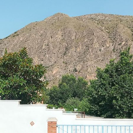 Recovery Mountain Homestay 알리칸테 외부 사진